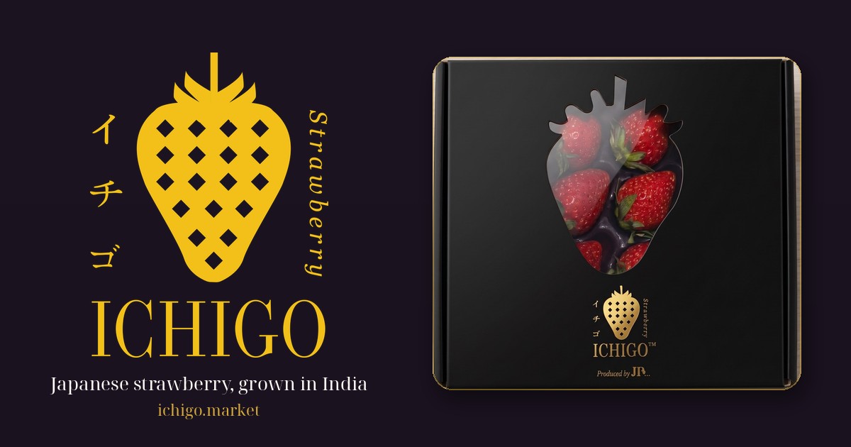 その他 Ichigo ICHIGO — 日本品質のいちご、インドの高原から